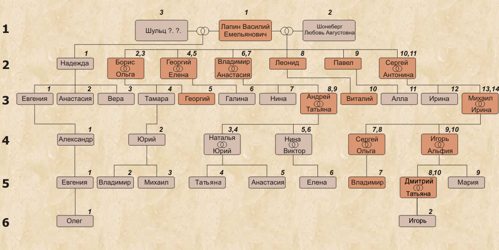 Генеалогическое дерево семьи Лапиных